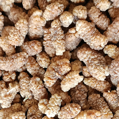 توت خشک رسکاو