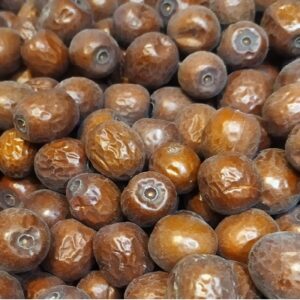 عناب خراسان جنوبی