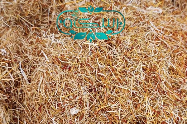 زعفران ریشه سفید